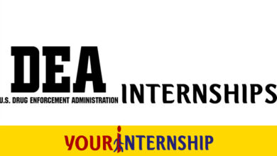 DEA Internship