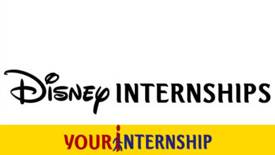 Disney Internship