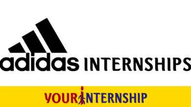 Adidas Internship