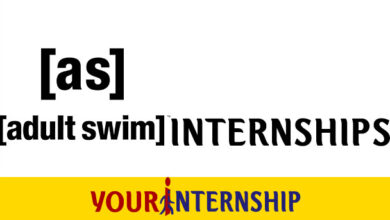 Adult Swim Internship