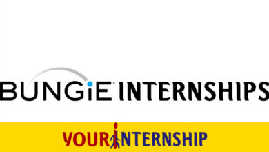 Bungie Internship