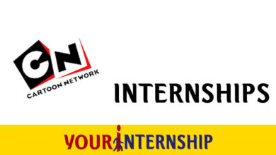 Cartoon Network Internship