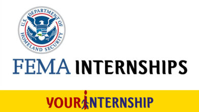 FEMA Internship