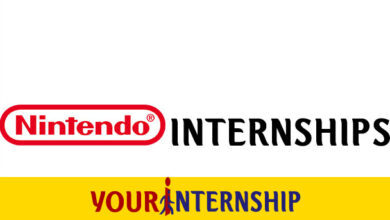 Nintendo Internship